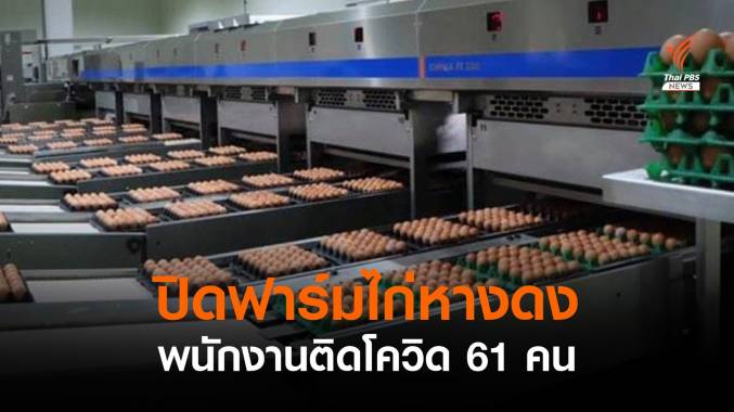 เชียงใหม่สั่งปิด 14 วัน "ฟาร์มไก่" อ.หางดง ติดโควิด 61 คน