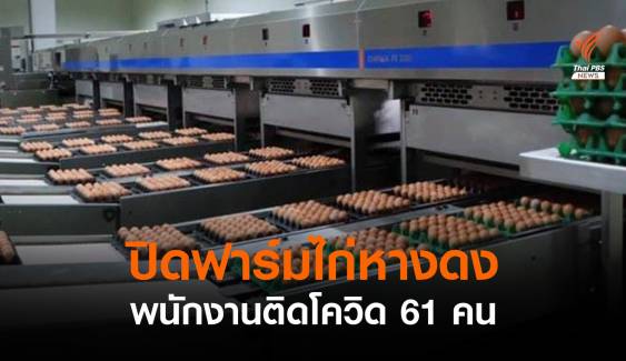 เชียงใหม่สั่งปิด 14 วัน "ฟาร์มไก่" อ.หางดง ติดโควิด 61 คน