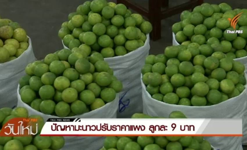 ก.พาณิชย์เร่งแก้ปัญหามะนาวแพง-หลังราคาพุ่งอยู่ที่ลูกละ 9 บ.