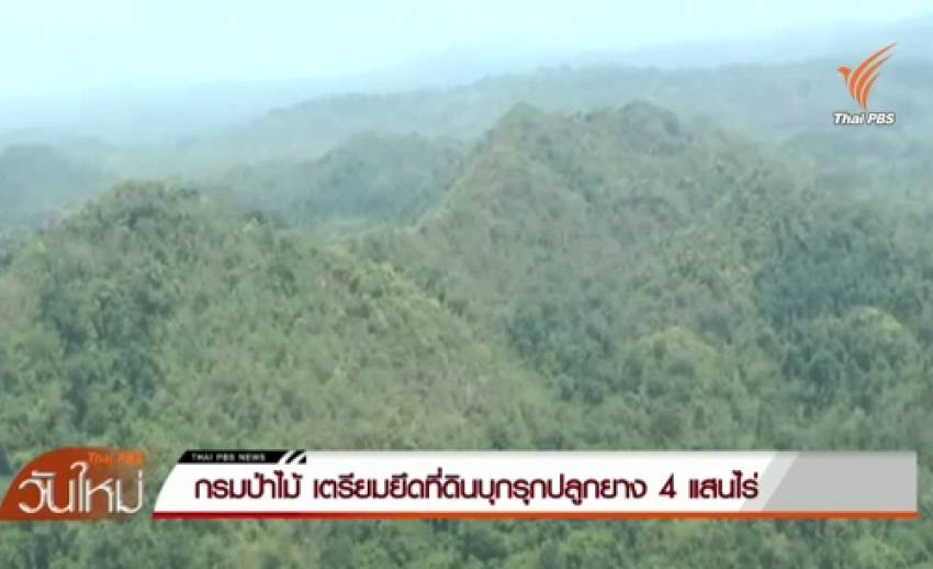 กรมป่าไม้เตรียมยึดที่ดินบุกรุกปลูกยางพารา 400,000 ไร่