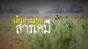 เส้นทางแบนสารเคมี
