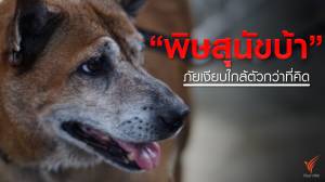 "พิษสุนัขบ้า" ภัยเงียบใกล้ตัวกว่าที่คิด