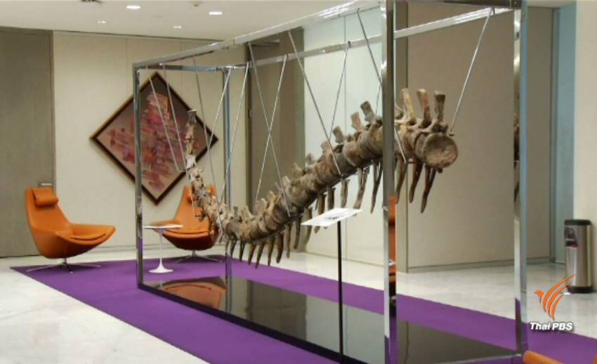 ประมูลหางไดโนเสาร์ช่วยฟื้นฟูโรงเรียนในเม็กซิโก