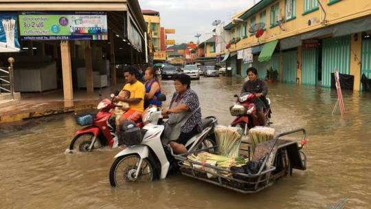 (รวมภาพ) น้ำท่วมเพชรบุรี เขตเศรษฐกิจ-บ้านแหลมหนักสุด