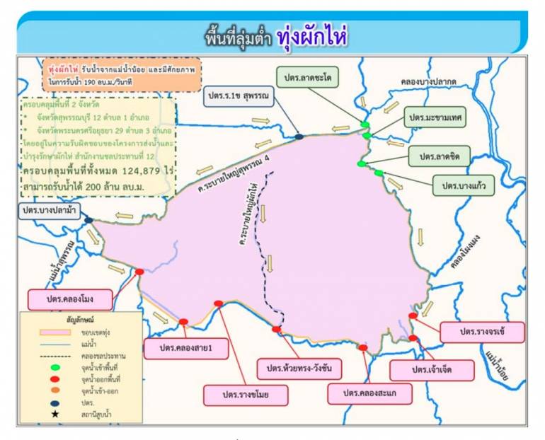 ทุ่งผักไห่