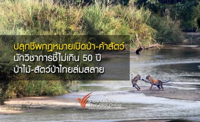ปลุกชีพกฎหมายเปิดป่า – ค้าสัตว์ นักวิชาการชี้ไม่เกิน 50 ปีป่าไม้-สัตว์ป่าไทยล่มสลาย