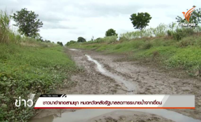 ชาวนา อ.สามชุก หมดหวังหลังรัฐบาลลดการระบายน้ำจากเขื่อน