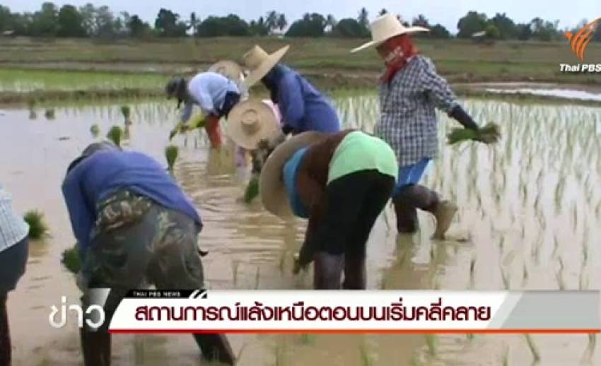 ภัยแล้งน่าน-สระแก้วเริ่มคลี่คลาย ชาวนาเร่งปักดำข้าวเพาะปลูกพืชทันทีหลังมีน้ำเพียงพอ