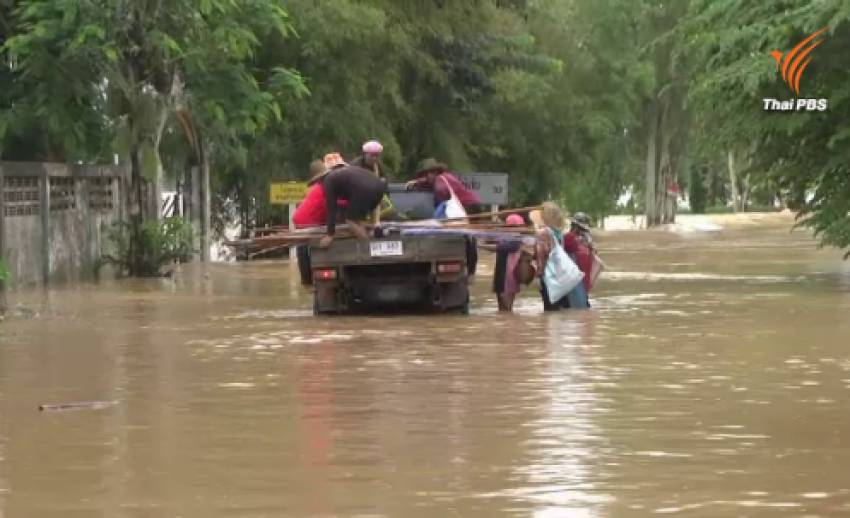 สธ.เตือนประชาชนในพื้นที่ฝนตก-น้ำท่วมขัง ระวังโรคฉี่หนู ปีนี้เสียชีวิตแล้ว 10 คน