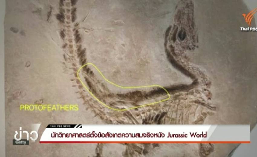 นักวิทยาศาสตร์วิจารณ์ไดโนเสาร์ไม่สมจริงใน Jurassic World
