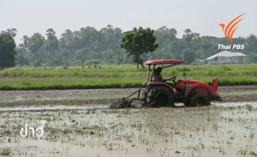ครม.ยังไม่ประกาศงดทำนาปรัง ให้"ก.เกษตรฯ-มหาดไทย"ร่วมหารือวางแผนจัดการน้ำ