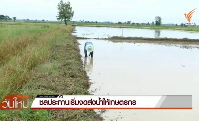 นายกฯ-ก.เกษตรฯ หารือมาตรการงดทำนาปรัง ชลประทานเริ่มงดส่งน้ำให้เกษตรกรภาคกลาง