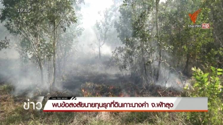 พบข้อสงสัยนายทุนบุกรุกที่ดินเกาะนางคำ จ.พัทลุง