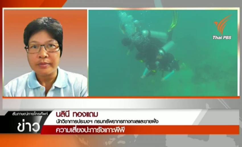 นักวิชาการแนะจัดระเบียบการใช้ปะการัง คุมมาตรฐานผู้ประกอบการนำเที่ยวเกาะพีพี