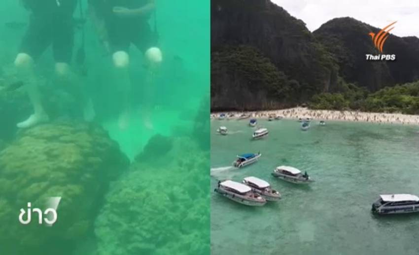 ผศ.ธรณ์ แนะอุทยานฯ หมู่เกาะพีพี ยกเลิกดำน้ำแบบ Try Dive