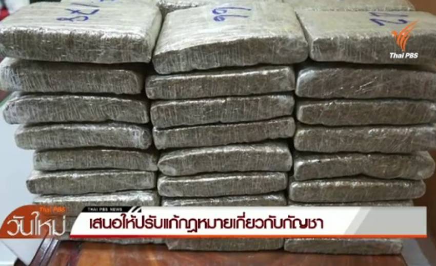 เสนอแก้กฎหมาย"กัญชา"หลังพบนำมาใช้ผลิตยา-มีโทษน้อยกว่าบุหรี่
