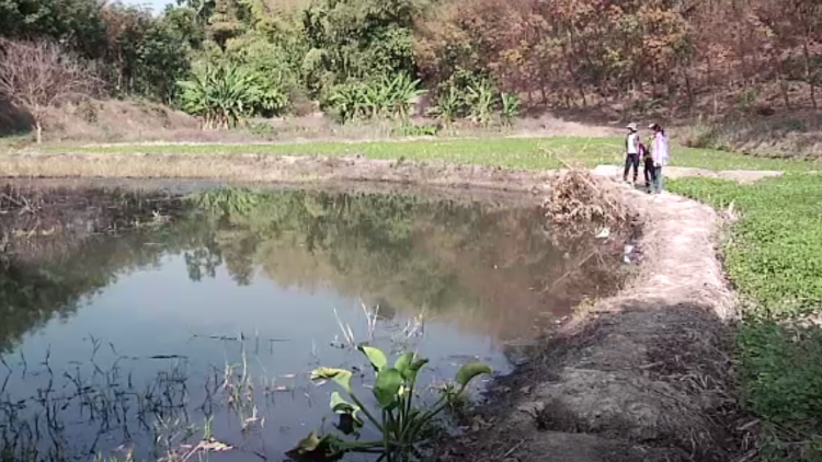ชาวบ้านเรียกร้องปิดเหมืองแร่ จ.เลย ฟื้นฟูสภาพแวดล้อม หลังพบสารพิษในร่างกาย 46 คน