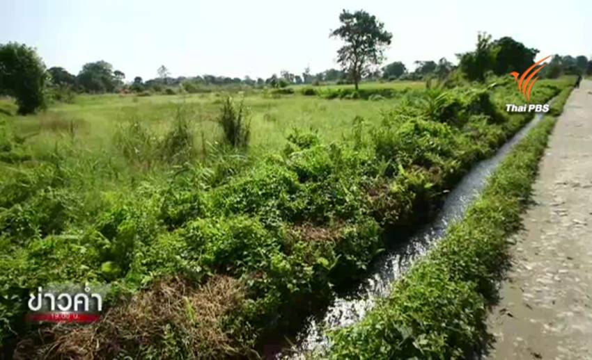ภูมิปัญญาจัดการน้ำของ “ชาวไทคำตี่” บนพื้นที่เกษตรกรรมอู่ข้าวอู่น้ำของอินเดีย