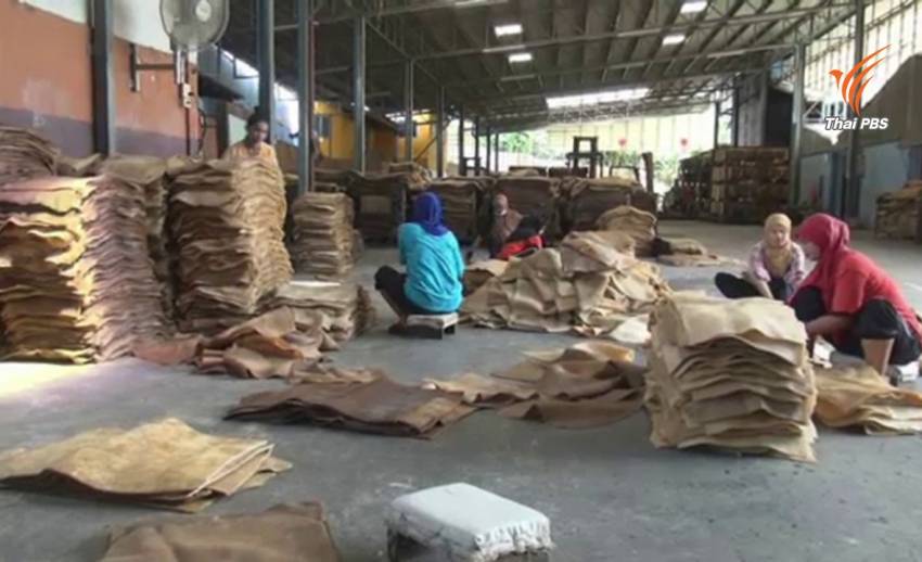กยท.นัดถกปัญหาเงินรับซื้อยางพารา 4,500 ล้านบาท
