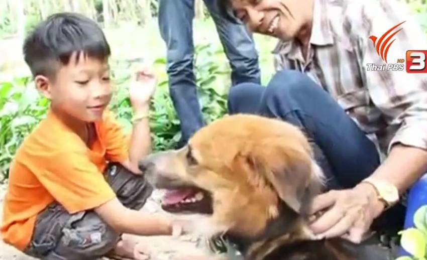 "บิ๊กบู" สุนัขพลัดหลงพบเจ้าของแล้ว หลังเฝ้ารอริมถนนนาน 7 เดือน