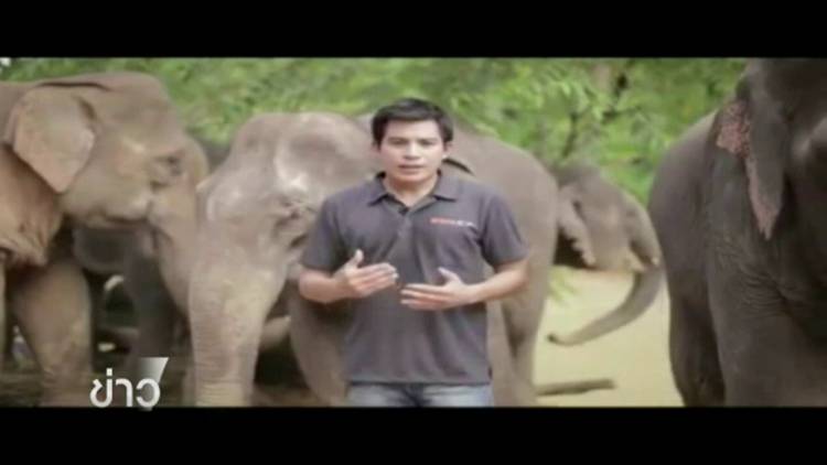 แฟนคลับอาลัย "ปอ ทฤษฎี" นักแสดงจิตอาสาช่วยสังคม