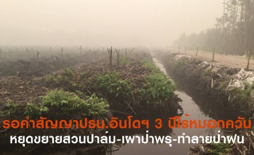 รอคำสัญญาปธน.อินโดฯ- 3 ปี “ไร้หมอกควัน” หยุดขยายสวนปาล์ม-เผาป่าพรุ-ทำลายป่าฝน