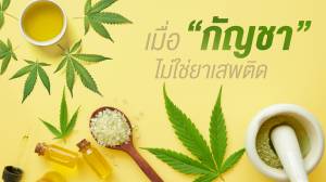 เมื่อ “กัญชา” ไม่ใช่ยาเสพติด