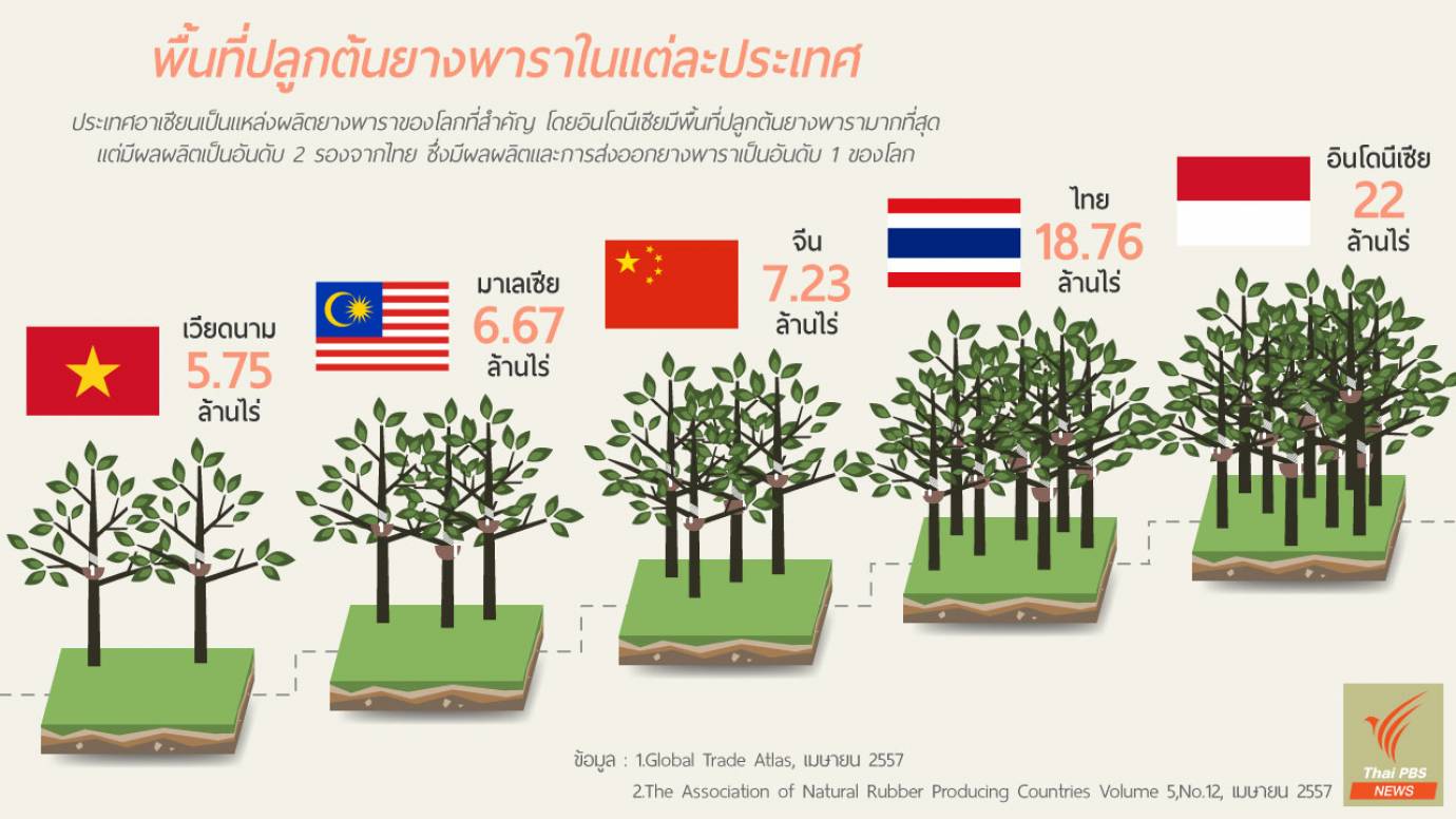 พื้นที่ปลูกยางพาราในแต่ละประเทศสำคัญ