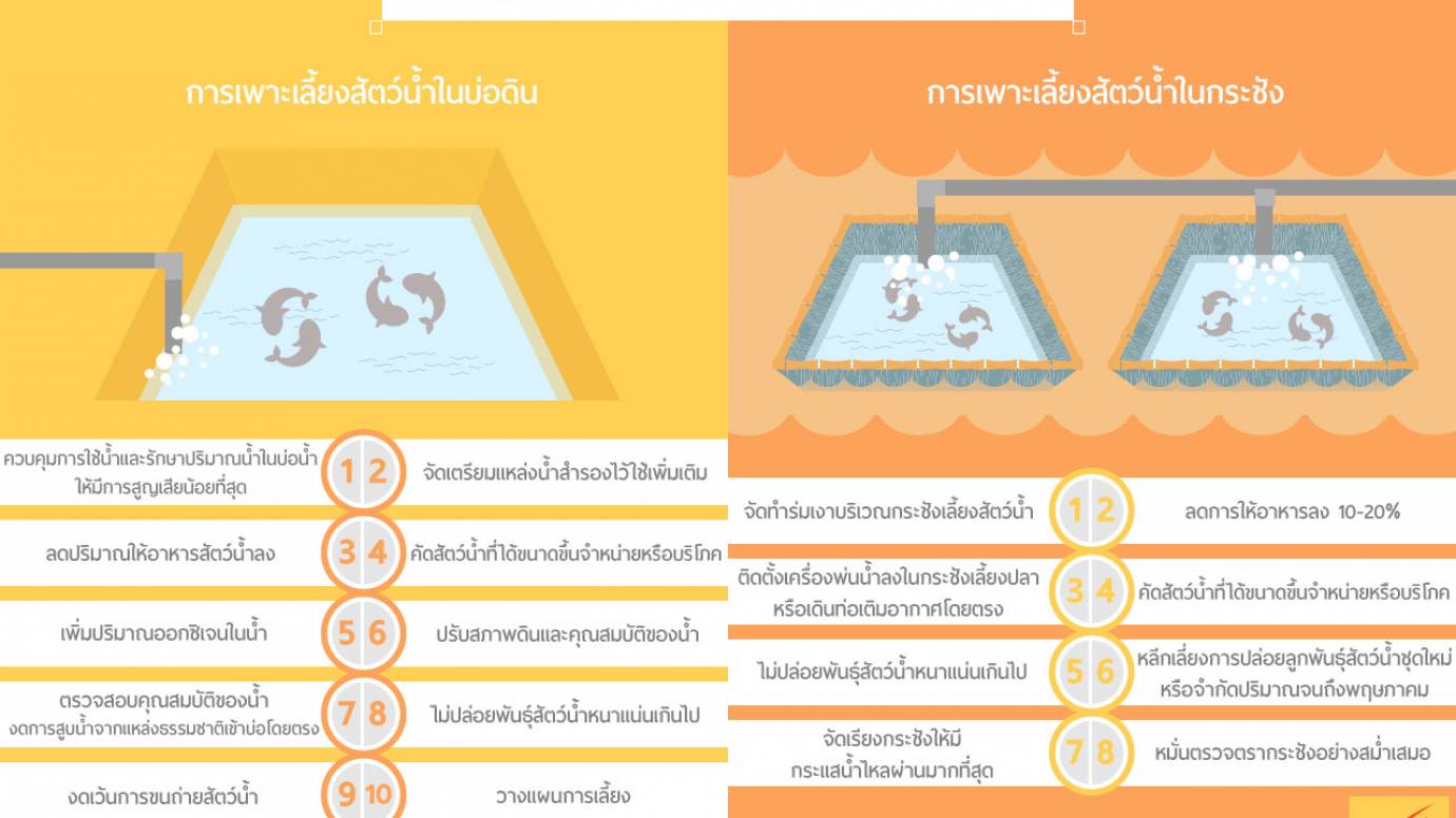 วิธีรับมือภัยแล้งของผู้เพาะเลี้ยงสัตว์น้ำ