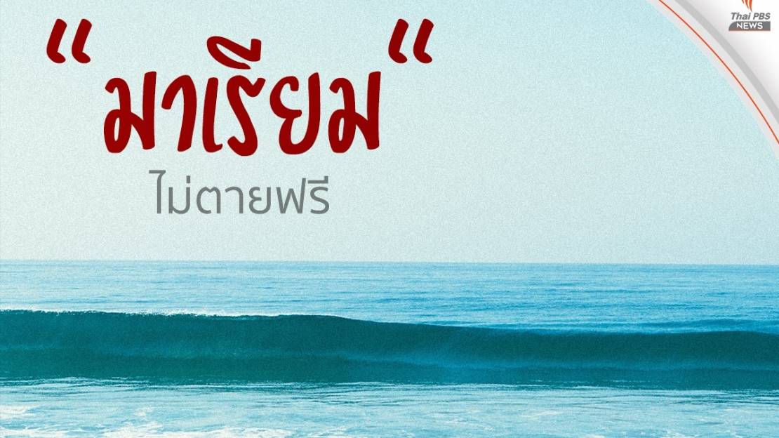 ลูกพะยูน "มาเรียม"ไม่ตายฟรี