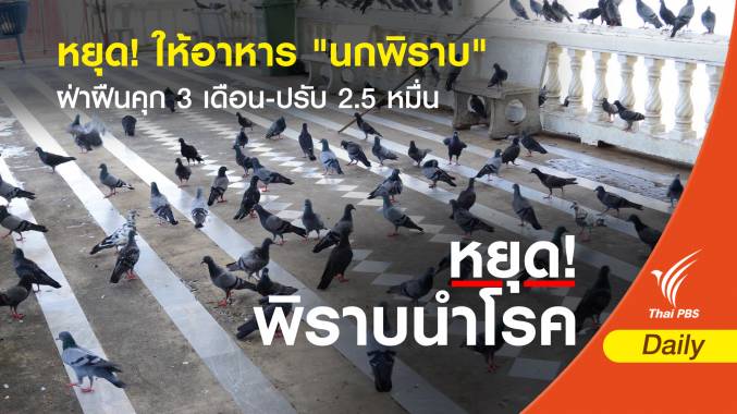 หยุด! ให้อาหาร "นกพิราบ" ฝ่าฝืนคุก 3 เดือน-ปรับ 2.5 หมื่น