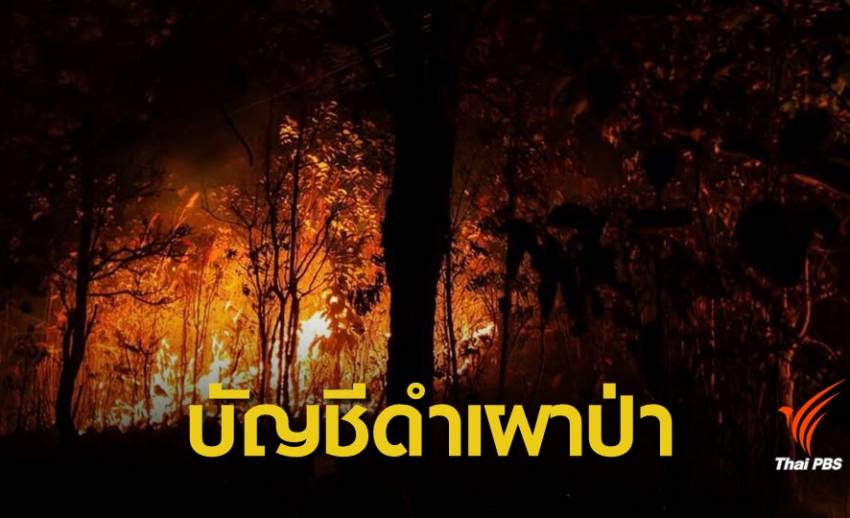 ฝุ่น PM2.5 : "กรมป่าไม้" เล็งแบล็กลิสต์ 20 หมู่บ้าน 9 จว.เหนือจุดไฟป่า