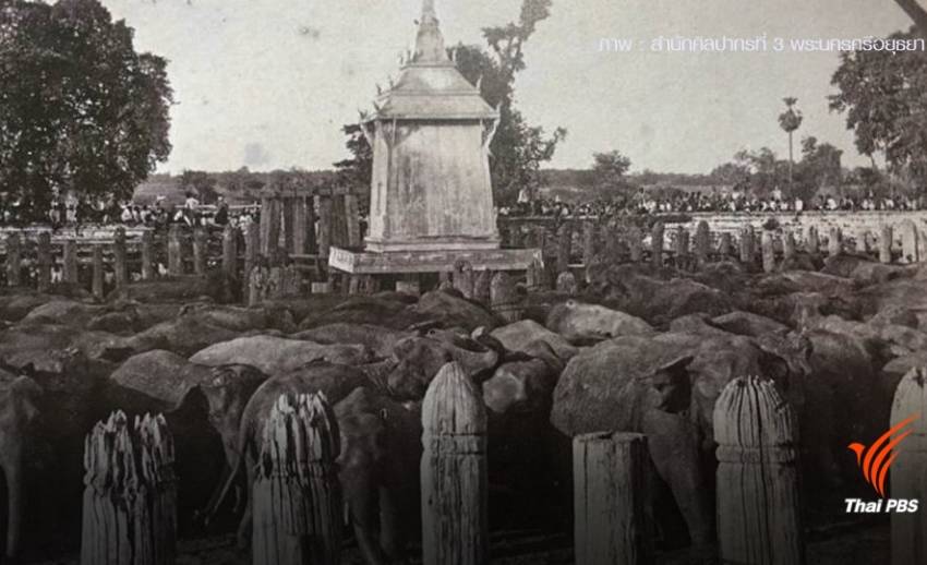 ภาพในอดีต "เสาตะลุง" เพนียดคล้องช้าง