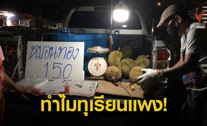 “ทุเรียน” ราคากระฉูด! ออเดอร์จากจีนแน่น ดับฝันนักกินชาวไทย