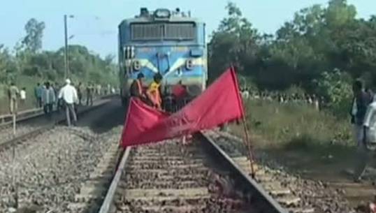 เกิดเหตุรถไฟชนช้างป่าตาย 5 ตัวในอินเดีย