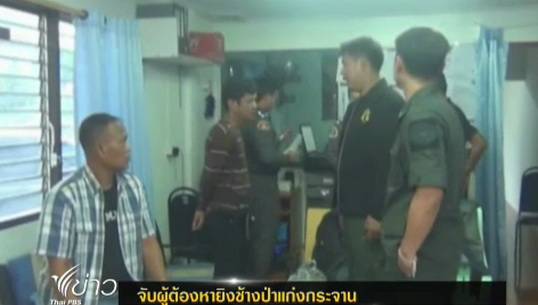 ตำรวจจับผู้ต้องหายิงช้างป่าแก่งกระจาน จ.เพชรบุรี 
