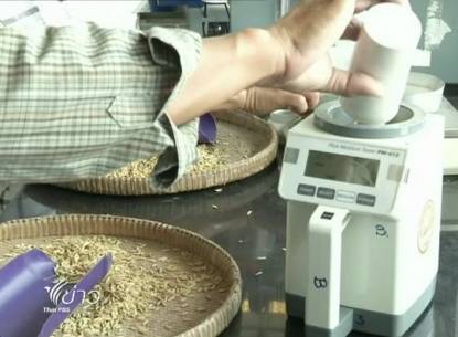 ชาวนากังวลเครื่องวัดความชื้นข้าวไม่ได้มาตรฐาน