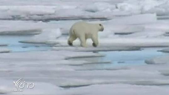 นานาประเทศร่วมประชุมวิกฤตการณ์น้ำแข็งละลายในขั้วโลกเหนือ