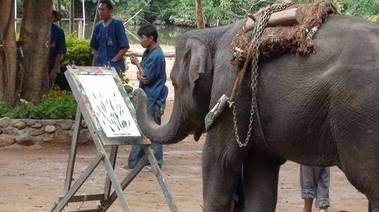 “ศูนย์อนุรักษ์ช้างไทย”ต้นกำเนิดศิลปะของช้าง