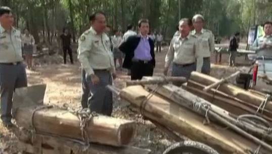 อธิบดีกรมอุทยานฯ สั่งกวาดล้างขบวนการตัดไม้พะยูง