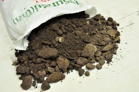 “ขี้เล” ปุ๋ยอินทรีย์จากดินเลน ช่วยพืชผลโตไว  ลดต้นทุน