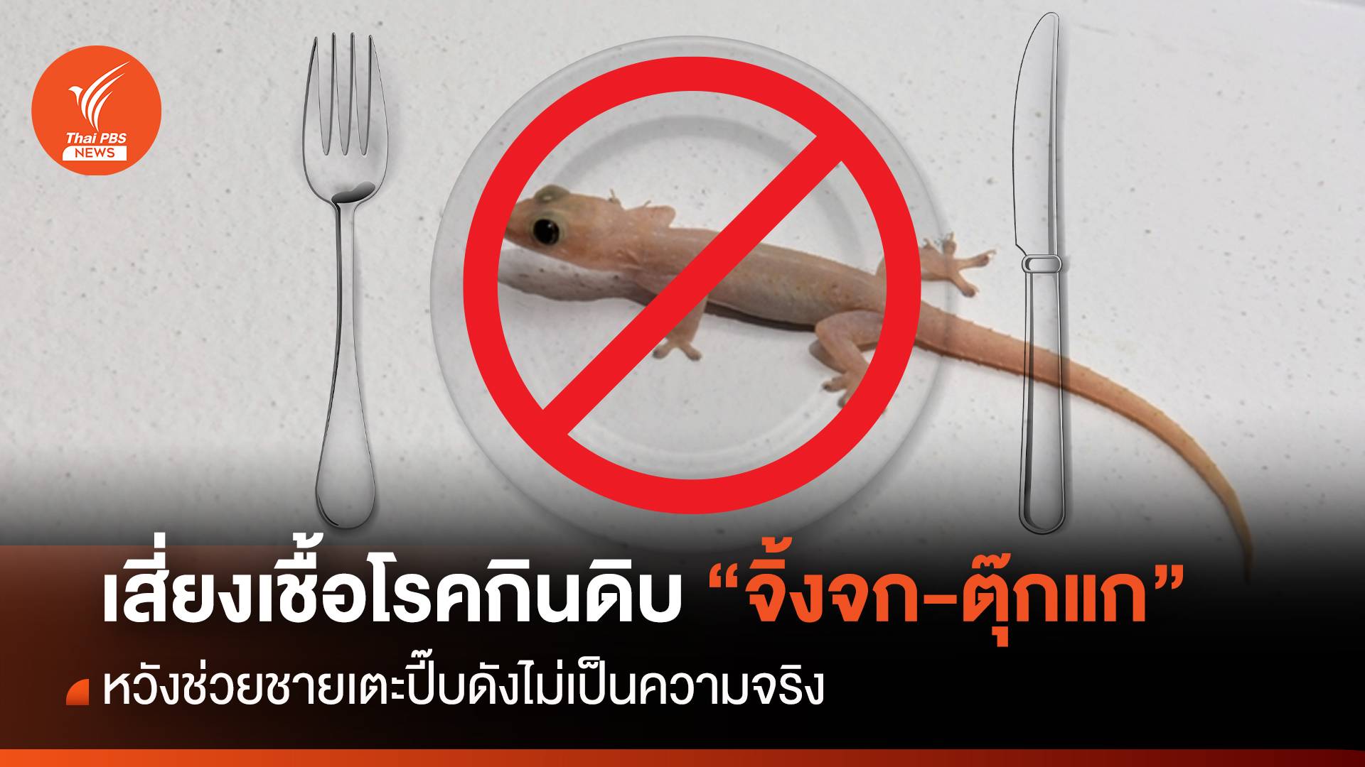 อย่าเลียนแบบกินดิบ "จิ้งจก-ตุ๊กแก" หวังเตะปี๊บดัง-เสี่ยงเชื้อโรค