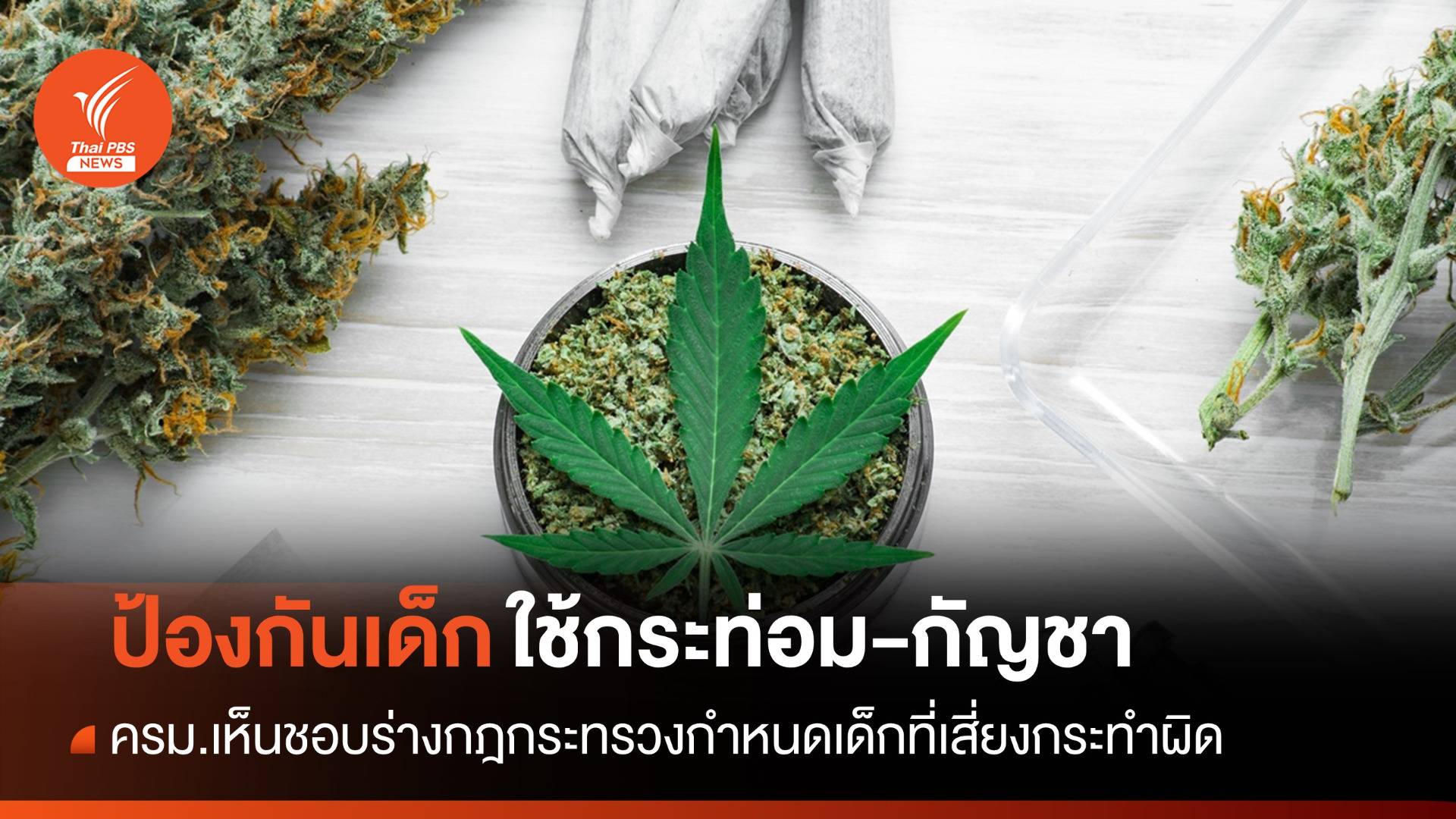 ครม.เห็นชอบร่างกฎกระทรวง "เด็กใช้กระท่อม-กัญชา" เสี่ยงทำผิด