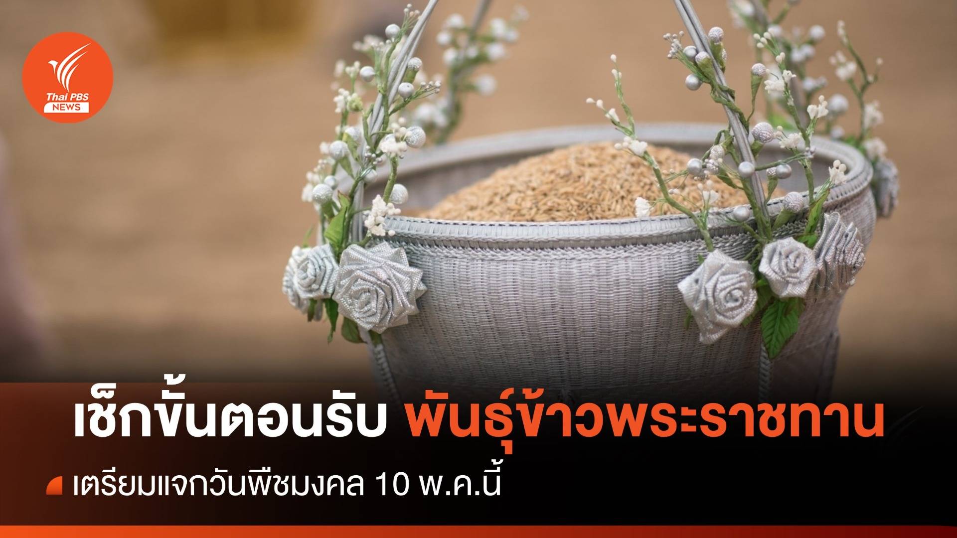 เช็กขั้นตอนลงทะเบียนรับ "พันธุ์ข้าวพระราชทาน" ถึง 25 เม.ย.