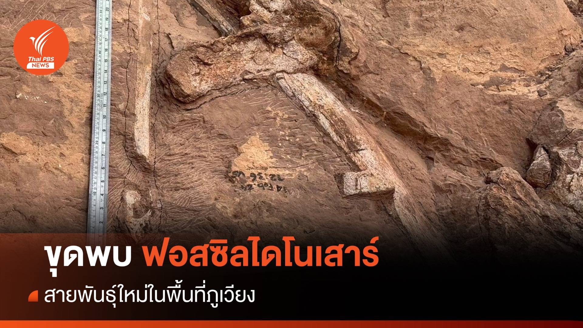 พบ "ฟอสซิลไดโนเสาร์" สายพันธุ์ใหม่ในพื้นที่ภูเวียง