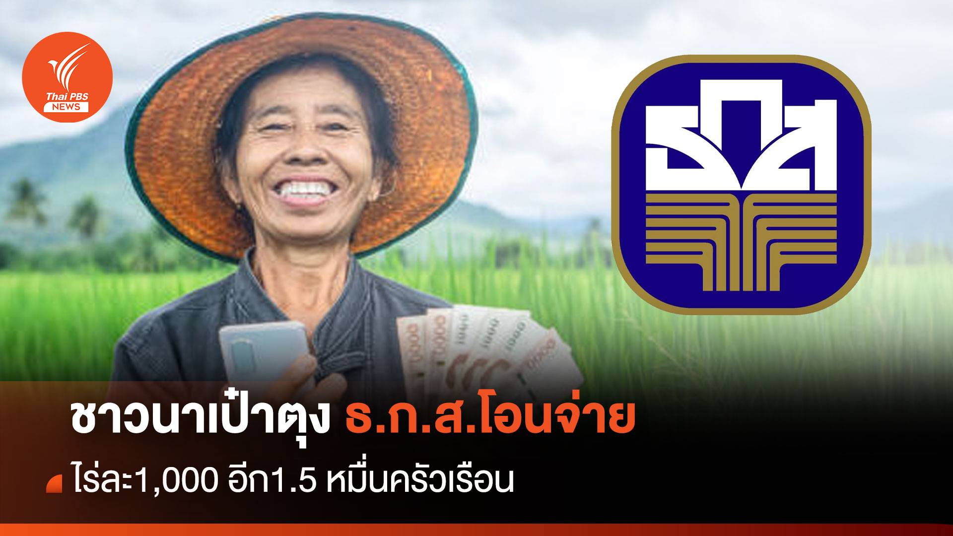 ชาวนาเป๋าตุง ธ.ก.ส.โอนจ่ายไร่ละ 1,000 อีก 1.5 หมื่นครัวเรือน