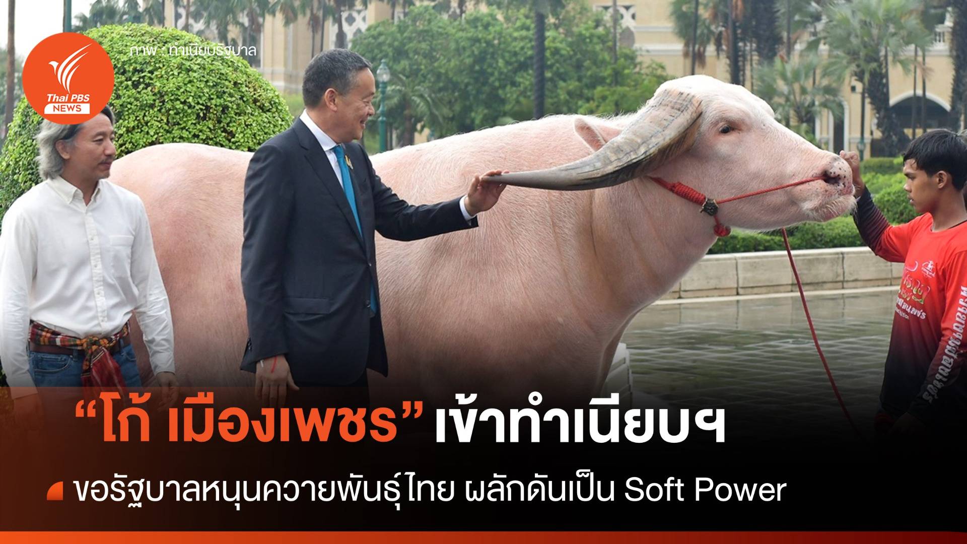 "โก้ เมืองเพชร" ควายเผือกเข้าทำเนียบฯ ขอดันเป็นซอฟต์พาวเวอร์
