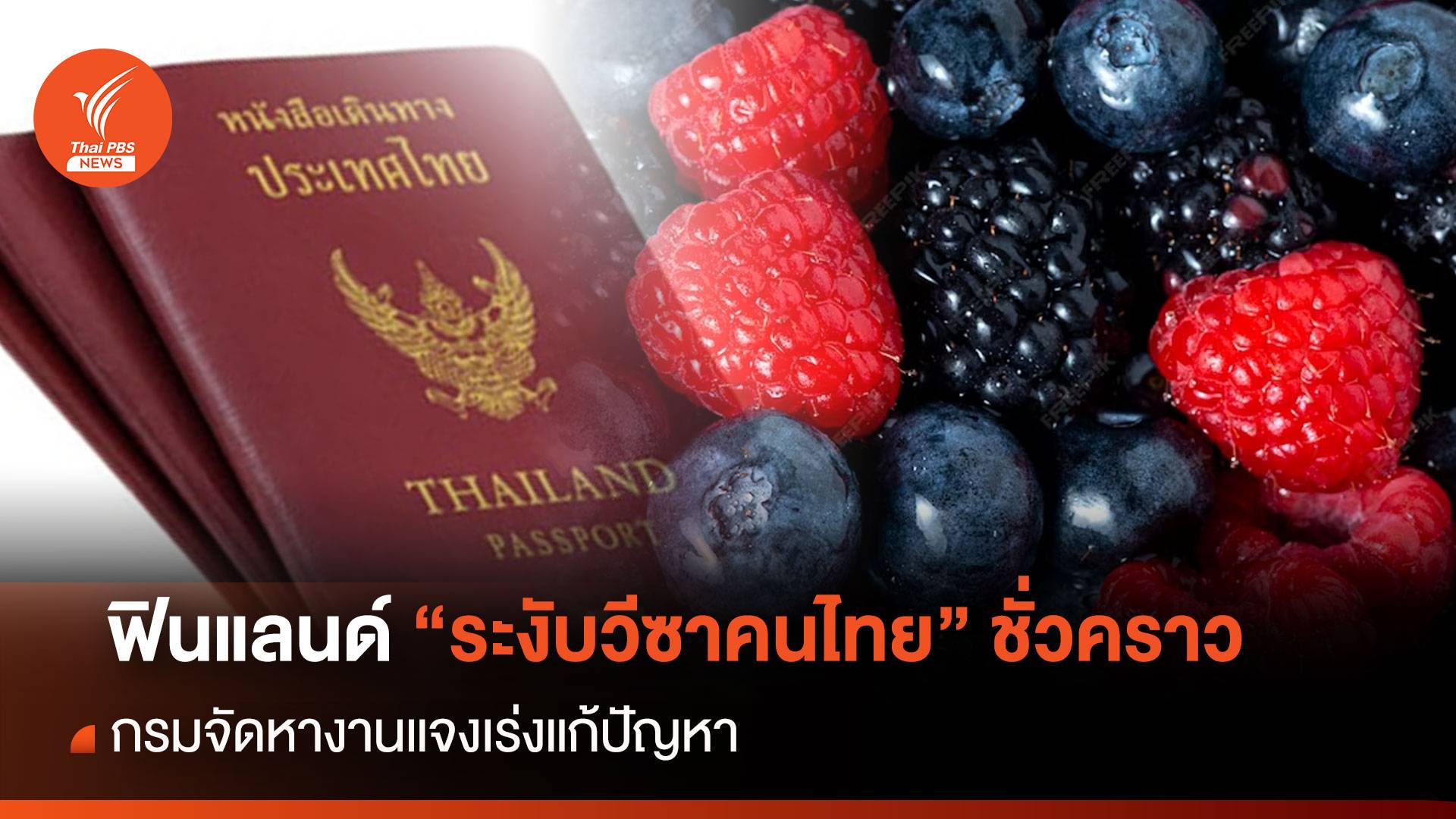 ฟินแลนด์ “ระงับวีซาคนไทย” ชั่วคราว กรมจัดหางานเร่งแก้ปัญหา