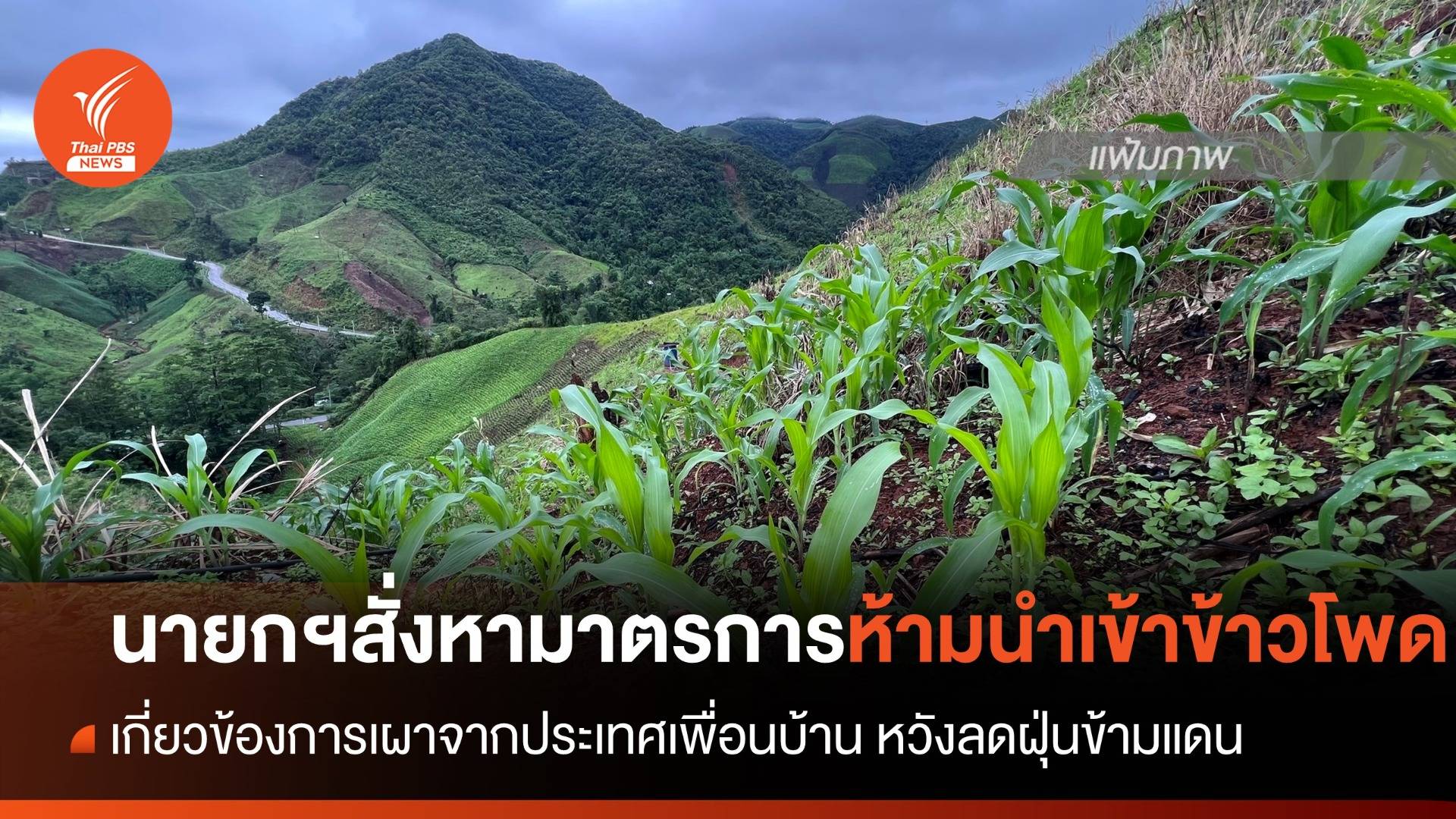 นายกฯสั่งหามาตรการห้ามนำเข้าข้าวโพด เกี่ยวข้องการเผาจากประเทศเพื่อนบ้าน