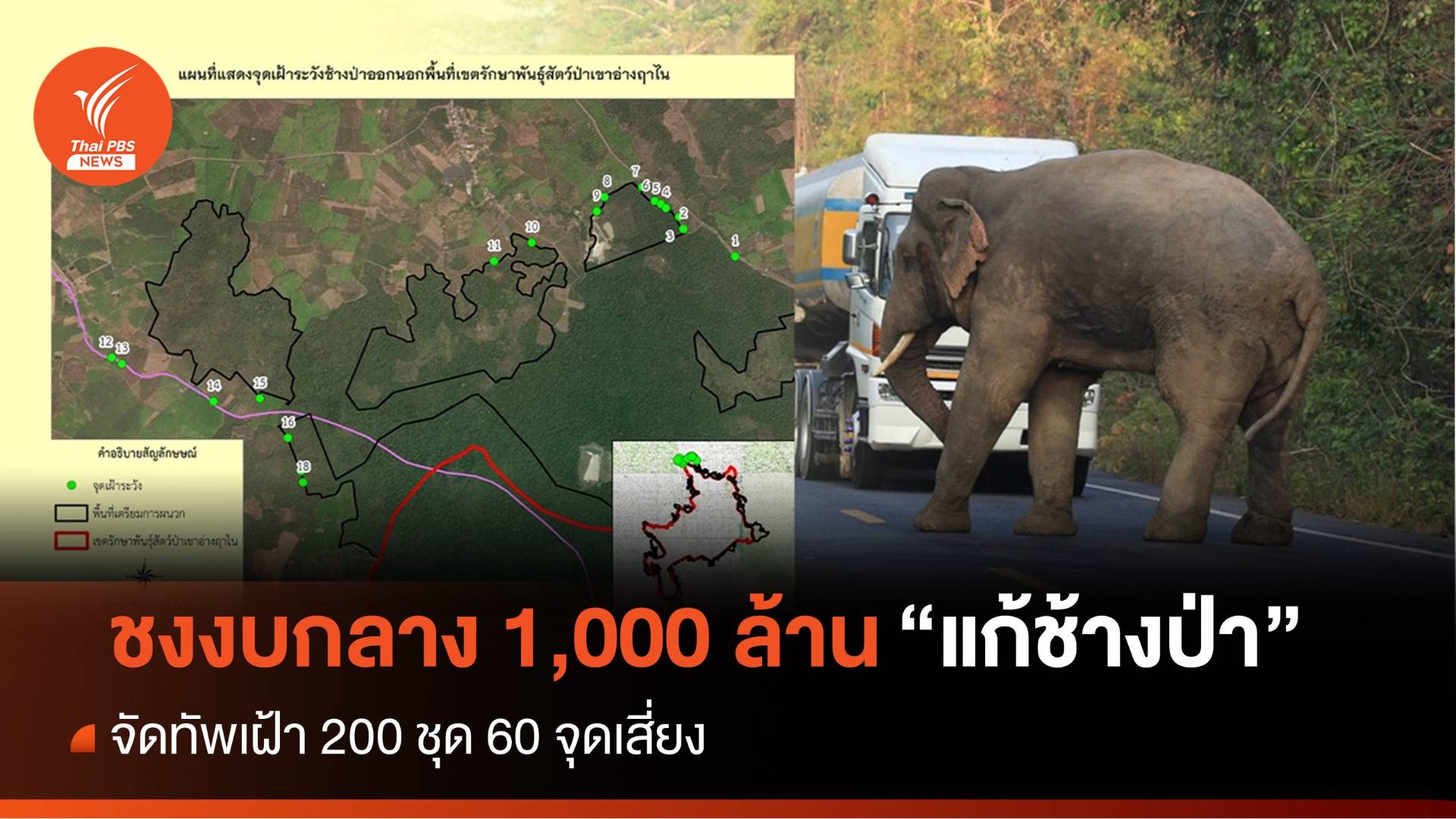 ชงของบกลาง 1,000 ล้านแก้ช้างป่า จัดทัพเฝ้า 200 ชุด 60 จุดเสี่ยง